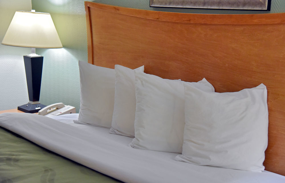 Quality Inn & Suites Near I-480 And I-29 Консіл-Блафс Екстер'єр фото